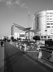 新城公司注册